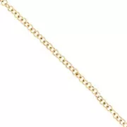 Chaîne maille Forçat ronde 4.9 mm - Acier inoxydable 316L Doré x50cm