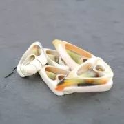 Pendentif tranche de coquillage 50 mm Cream x 1