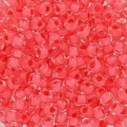 Perles rocailles Preciosa  9/0 2.5 mm - Crystal Cranberry x20g