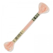 Fil à broder DMC Mouliné Effet Lumière Light Peach (967) x8m|raw }}