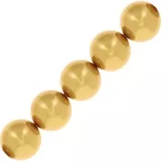 Perles nacrées PureCrystal 5810 3 mm - Crystal Royal Gold Pearl x20