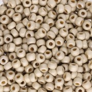 Rocaille Miyuki Duracoat 8/0 4201F - Galvanized Silver Mat x8g