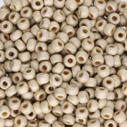 Rocaille Miyuki Duracoat 8/0 4201F - Galvanized Silver Mat x8g