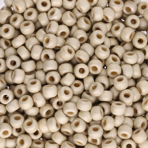 Rocaille Miyuki Duracoat 8/0 4201F - Galvanized Silver Mat x8g