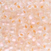 Rocaille Miyuki 6/0 4604 - Pearlized Effect Salmon x8g