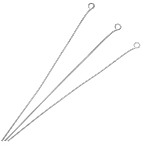 Clous tête ronde 70x0.7 mm - Argenté x10