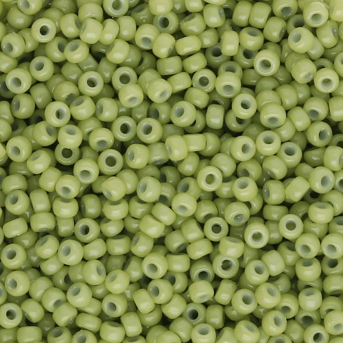Rocaille Miyuki Duracoat 11/0 4473 - Dyed Opaque Fennel x8g