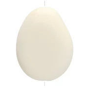 Perle plate irrégulière 22x17 mm en résine opaque - Ecru x1