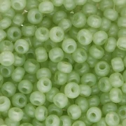 Preciosa perles rocailles 8/0 3 mm - Solgel - Green 2 Dyed Alabaster x20g