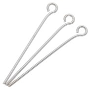 Clous tête ronde 25x0.7 mm - Argenté x 25|raw }}