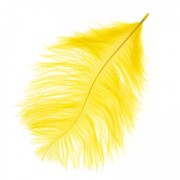 Plume d'autruche 15-20 cm Tournesol x1