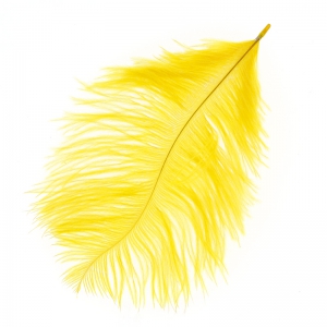 Plume d'autruche 15-20 cm Tournesol x1
