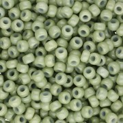 Rocaille Miyuki Duracoat 8/0 4473 - Dyed Opaque Fennel x8g|raw }}