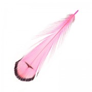 Plume de faisan rayée 6-11 cm Hot Pink x1|raw }}
