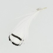 Plume de faisan rayée 6-11 cm Blanc x1|raw }}