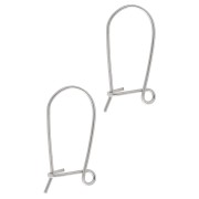 Boucles d'oreilles crochets dormeuses 17 mm - Argenté x2|raw }}