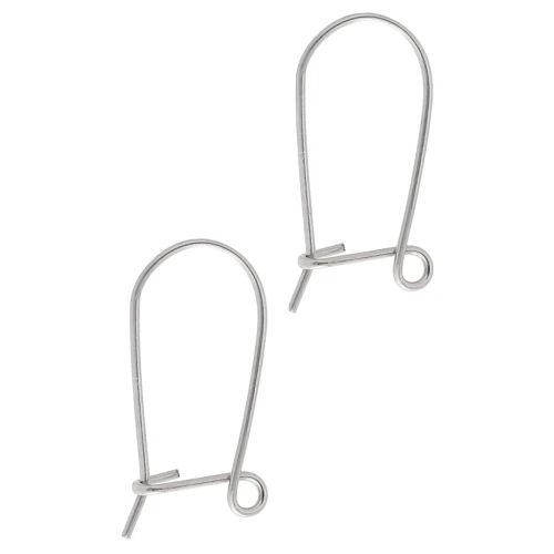 Boucles d'oreilles crochets dormeuses 17 mm - Argenté x2