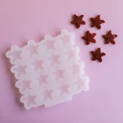 Moule en silicone Géa Creations pour réaliser des pendentifs étoiles de mer 20 mm
