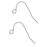 Crochets d'oreilles 13.5 mm - Acier inoxydable 316L x2