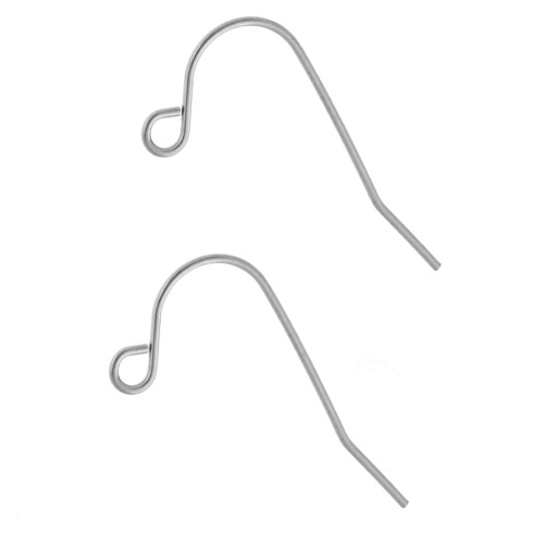 Crochets d'oreilles 13.5 mm - Acier inoxydable 316L x2