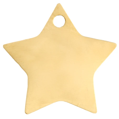 Breloque étoile 12x13 mm - Acier inoxydable 304 Doré x1