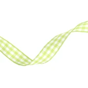 Ruban vichy 10 mm en polyester - Vert clair - Blanc x1m