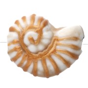 Blanc - Perle coquillage escargot 21x16 mm en céramique - Blanc - Doré x1 Perle coquillage escargot 21x16 mm en céramique - Blanc - Doré x1