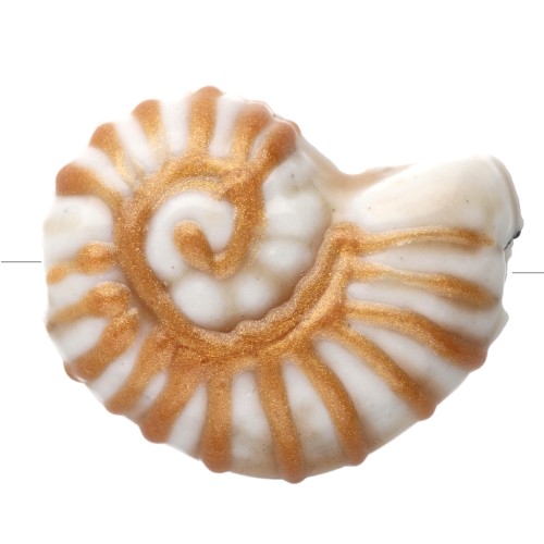 Perle coquillage escargot 21x16 mm en céramique - Blanc - Doré x1