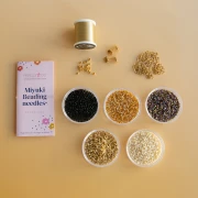 Mes bijoux DIY - Kit Boucles d'oreilles spirales avec perles Miyuki