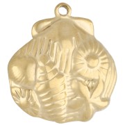 Pendentif - Pendentif coquillage 21x20 mm motif marin en relief - Acier inoxydable 304 Doré x1 Pendentif coquillage 21x20 mm motif marin en relief - Acier inoxydable 304 Doré x1