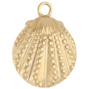 Pendentif coquillage texturé 29x23 mm - Acier inoxydable 304 Doré x1|raw }}