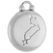 Breloque ronde réversible 17 mm signe du zodiaque Lion - Acier inox 304 x1