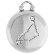 Breloque ronde réversible 17 mm signe du zodiaque Capricorne - Acier inox 304 x1