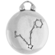 Breloque ronde réversible 17 mm signe du zodiaque Poisson - Acier inox 304 x1