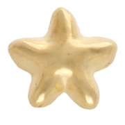 Poussoir étoile de mer 6 mm pour lacet 3 mm - Doré à l'or fin x1