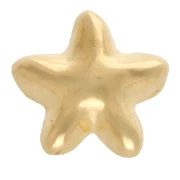 Poussoir étoile de mer 6 mm pour lacet 3 mm - Doré à l'or fin x1