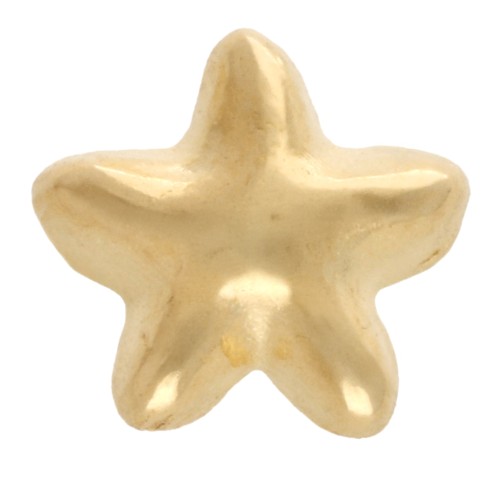 Poussoir étoile de mer 6 mm pour lacet 3 mm - Doré à l'or fin x1