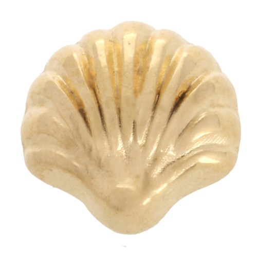 Poussoir coquillage 6x7 mm pour lacet 3 mm - Doré à l'or fin x1