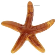 Pendentif étoile de mer 37x38 mm en résine - Caramel x1