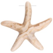 Pendentif étoile de mer 37x38 mm en résine - Beige - Marron clair marbré x1