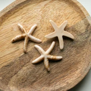 Pendentif étoile de mer 37x38 mm en résine - Beige - Marron clair marbré x1