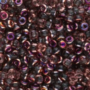 Rocaille Miyuki 8/0 55011 - Crystal Sliperit x8g