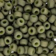 Rocaille Miyuki 6/0 2318 - Opaque Olive Mat x8g