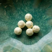 Perles rondes irrégulières facettées 10 mm résine opaque - Ecru x6