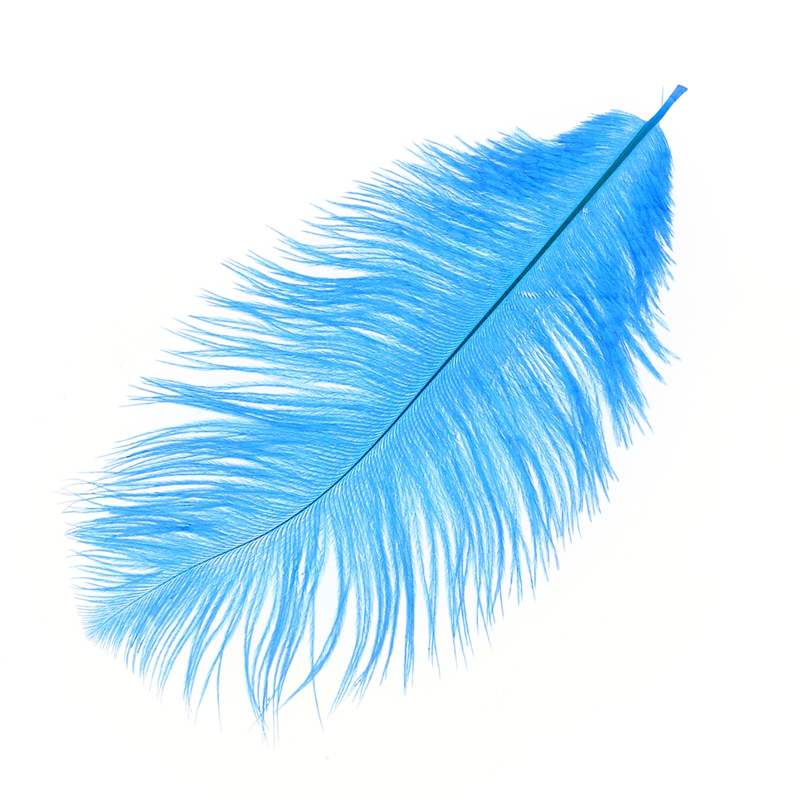 10 Plumes D'Autruche Naturelles Teintes Bleu Sarcelle 25-30 Cm – Idéales Pour Mariage, Déco, Artisanat & Bricolage