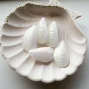 Perle moule 34x18.5 mm en résine - Blanc irisé x1