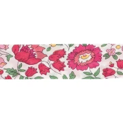Biais en tissu Liberty - D'anjo - Blanc - Cerise - Vert x1m