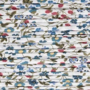 Cordon en tissu Liberty - Little - Winter x1m