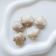 Perle coquillage 26x28.5 mm en céramique - Beige - Tacheté marron x1