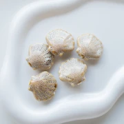 Perle coquillage 26x28.5 mm en céramique - Beige - Tacheté marron x1